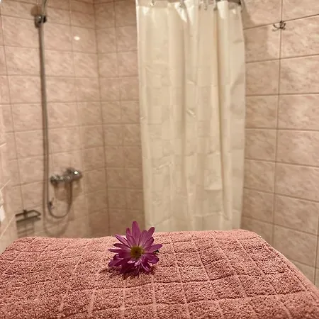 Center Of Apartments, Bus Station 1min, Airport 5 Min Apartment