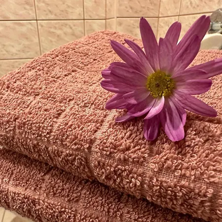 Center Of Apartments, Bus Station 1min, Airport 5 Min Апартаменты Таллин